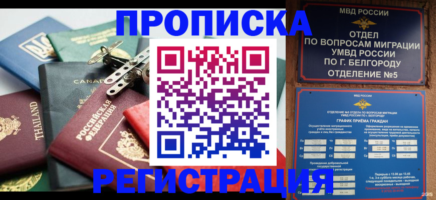 временная регистрация недорого в Щёлкино